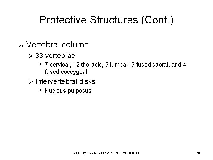 Protective Structures (Cont. ) Vertebral column Ø 33 vertebrae • 7 cervical, 12 thoracic,