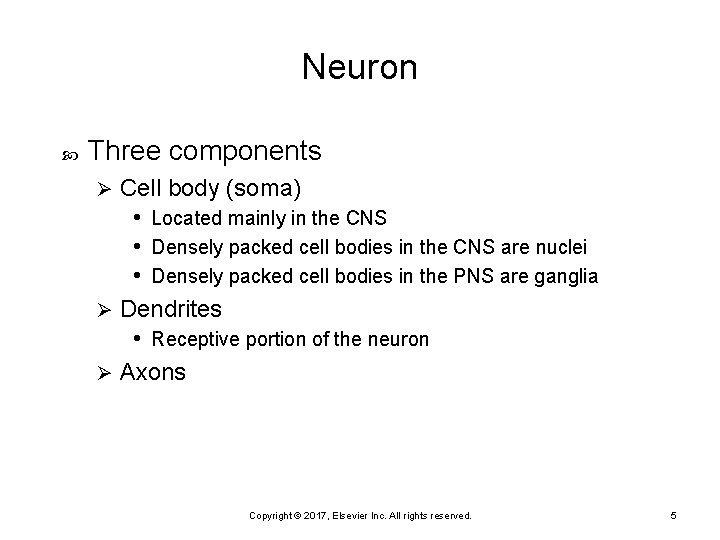 Neuron Three components Cell body (soma) • Located mainly in the CNS • Densely