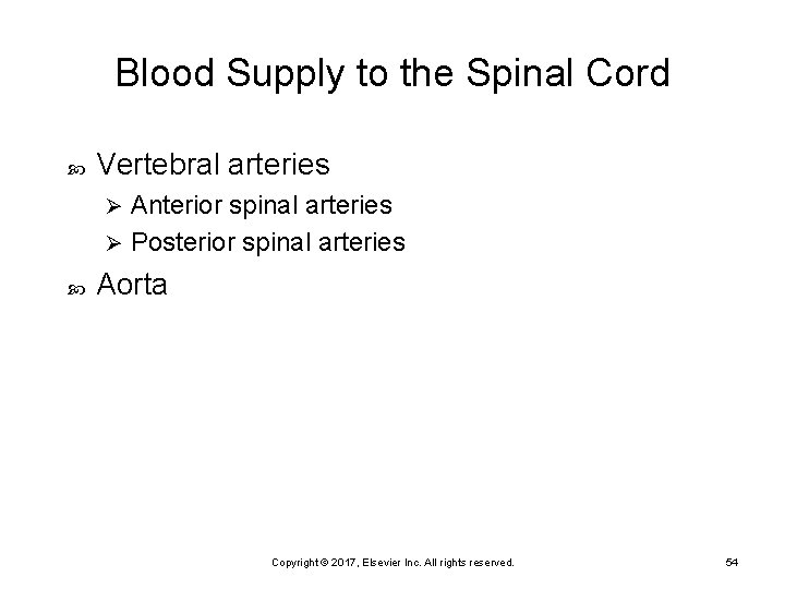 Blood Supply to the Spinal Cord Vertebral arteries Anterior spinal arteries Ø Posterior spinal