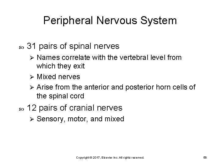 Peripheral Nervous System 31 pairs of spinal nerves Names correlate with the vertebral level