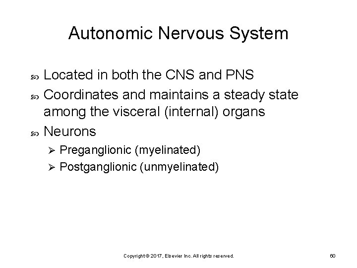 Autonomic Nervous System Located in both the CNS and PNS Coordinates and maintains a