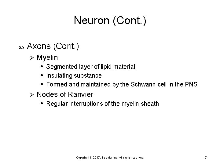 Neuron (Cont. ) Axons (Cont. ) Myelin • Segmented layer of lipid material •