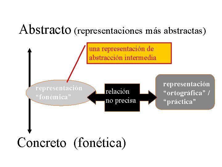 Abstracto (representaciones más abstractas) una representación de abstracción intermedia representación “fonémica” relación no precisa