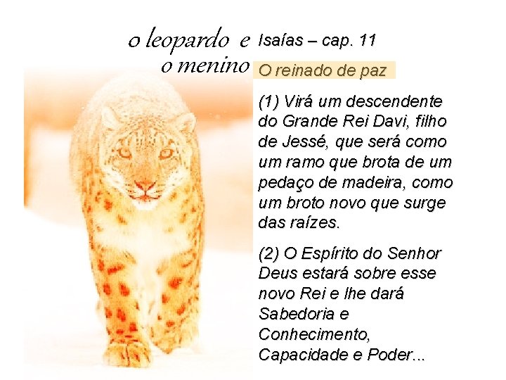 0 leopardo e o menino Isaías – cap. 11 O reinado de paz (1)