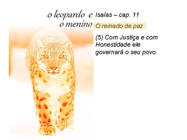 0 leopardo e o menino Isaías – cap. 11 O reinado de paz (5)