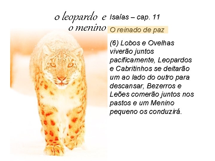0 leopardo e o menino Isaías – cap. 11 O reinado de paz (6)