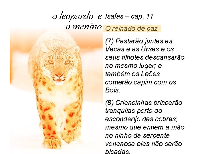 0 leopardo e o menino Isaías – cap. 11 O reinado de paz (7)