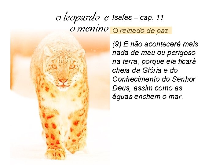 0 leopardo e o menino Isaías – cap. 11 O reinado de paz (9)