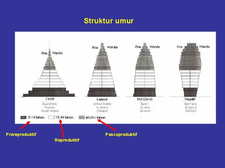 Struktur umur Prareproduktif Pascaproduktif Reproduktif 