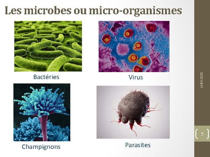 Bactéries Virus UHEH 2020 Les microbes ou micro-organismes 5 Champignons Parasites 