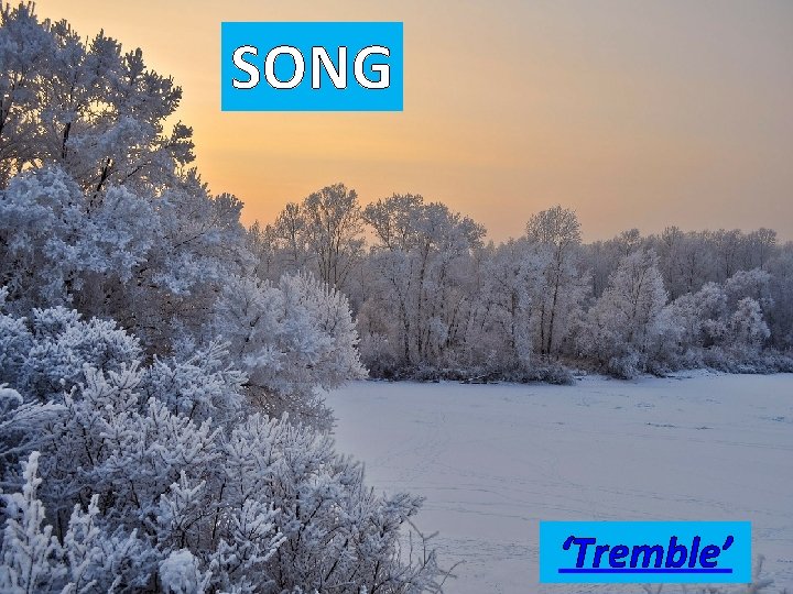 SONG ‘Tremble’ 