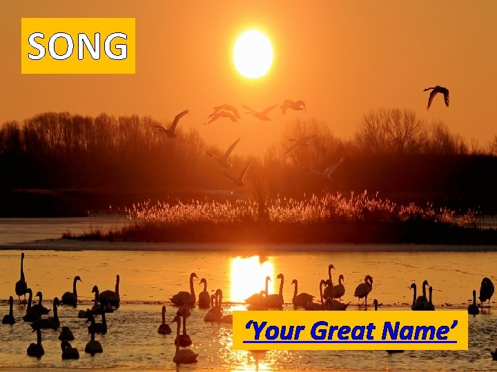 SONG ‘Your Great Name’ 