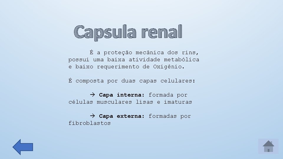 Capsula renal É a proteção mecânica dos rins, possui uma baixa atividade metabólica e