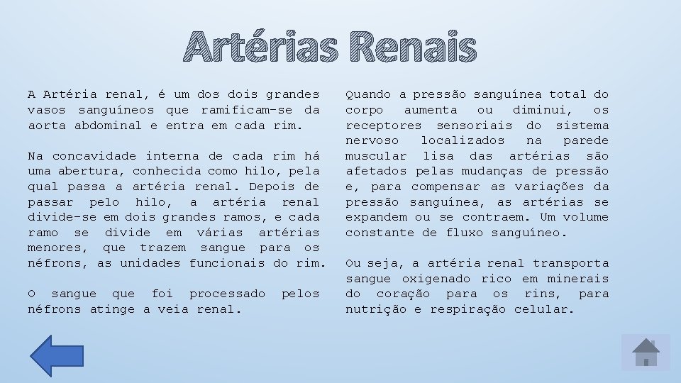 Artérias Renais A Artéria renal, é um dos dois grandes vasos sanguíneos que ramificam-se