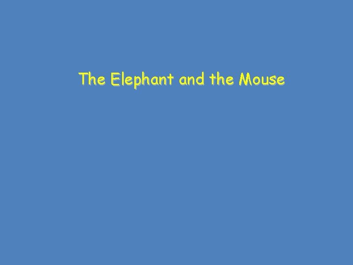 The Elephant and the Mouse 