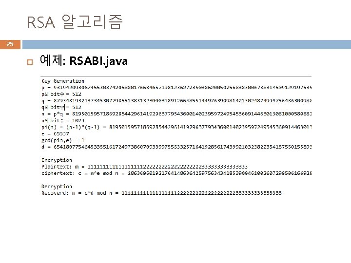 RSA 알고리즘 25 예제: RSABI. java 