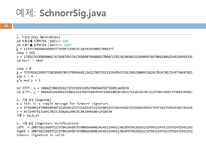 예제: Schnorr. Sig. java 38 