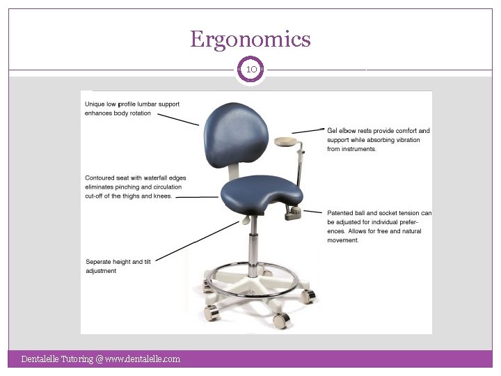 Ergonomics 10 Dentalelle Tutoring @ www. dentalelle. com 