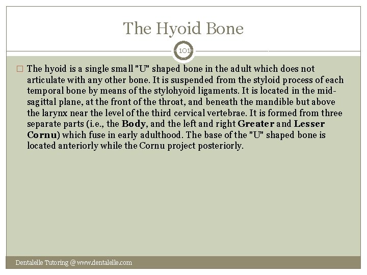 The Hyoid Bone 101 � The hyoid is a single small "U" shaped bone