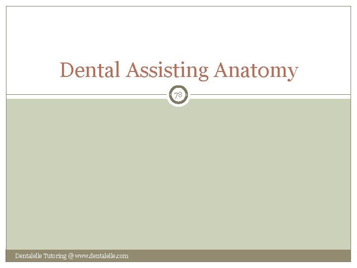 Dental Assisting Anatomy 78 Dentalelle Tutoring @ www. dentalelle. com 