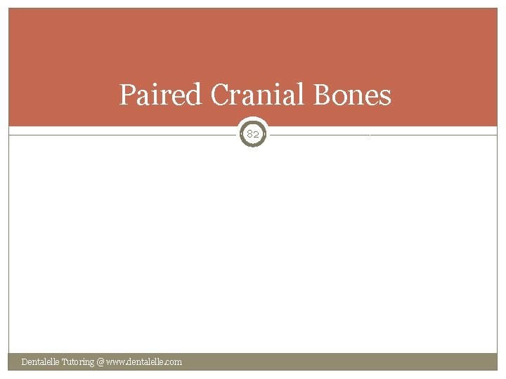 Paired Cranial Bones 82 Dentalelle Tutoring @ www. dentalelle. com 