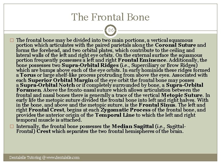 The Frontal Bone 86 � The frontal bone may be divided into two main