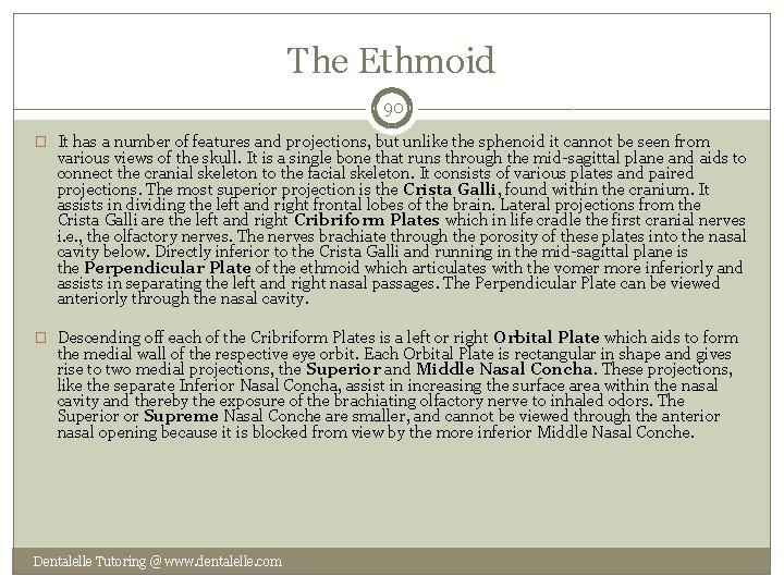 The Ethmoid 90 � It has a number of features and projections, but unlike