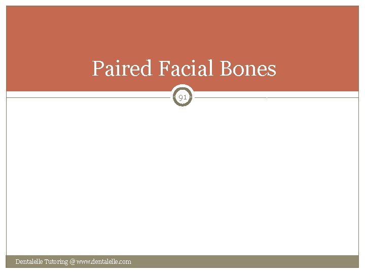 Paired Facial Bones 91 Dentalelle Tutoring @ www. dentalelle. com 