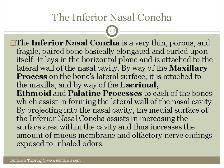The Inferior Nasal Concha 97 �The Inferior Nasal Concha is a very thin, porous,