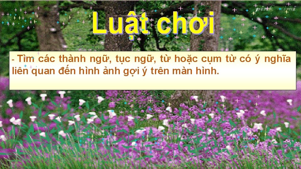 Tìm các thành ngữ, tục ngữ, từ hoặc cụm từ có ý nghĩa liên