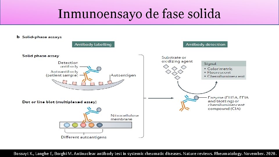 Inmunoensayo de fase solida Bossuyt X. , Langhe E, Borghi M. Antinuclear antibody test