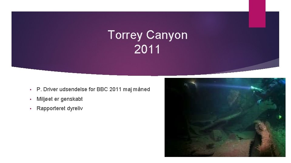Torrey Canyon 2011 • P. Driver udsendelse for BBC 2011 maj måned • Miljøet Torrey Canyon 2011 • P. Driver udsendelse for BBC 2011 maj måned • Miljøet