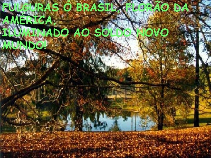 FULGURAS Ó BRASIL, FLORÃO DA AMÉRICA, ILUMINADO AO SOLDO NOVO MUNDO! 