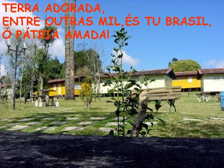 TERRA ADORADA, ENTRE OUTRAS MIL, ÉS TU BRASIL, Ó PÁTRIA AMADA! 