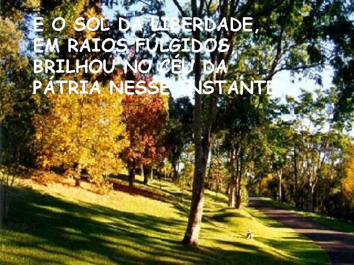 E O SOL DA LIBERDADE, EM RAIOS FÚLGIDOS, BRILHOU NO CÉU DA PÁTRIA NESSE