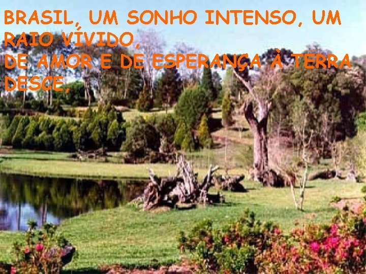 BRASIL, UM SONHO INTENSO, UM RAIO VÍVIDO, DE AMOR E DE ESPERANÇA À TERRA