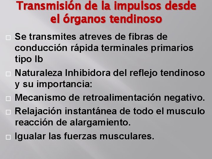 Transmisión de la impulsos desde el órganos tendinoso � � � Se transmites atreves