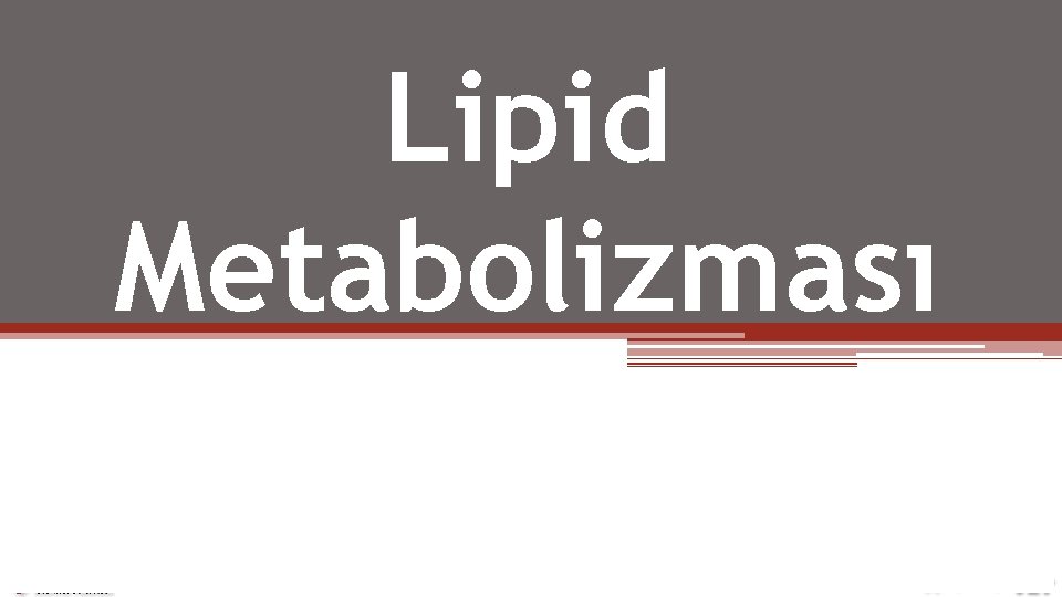 Lipid Metabolizması 