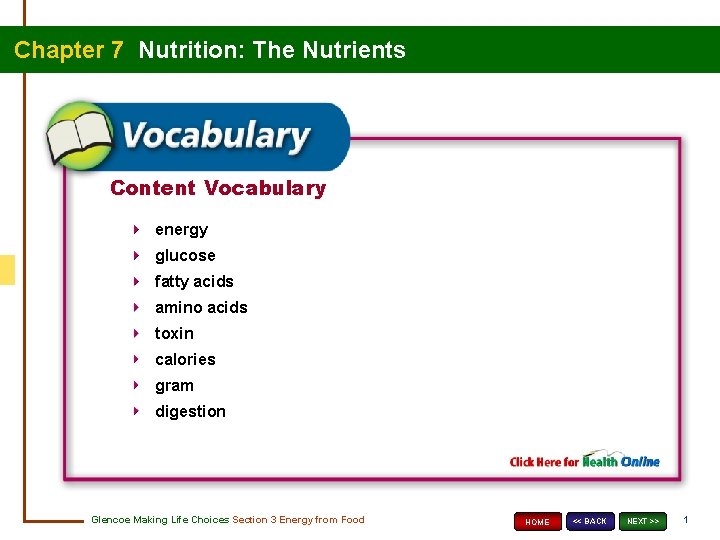 Chapter 7 Nutrition: The Nutrients Content Vocabulary energy glucose fatty acids amino acids toxin