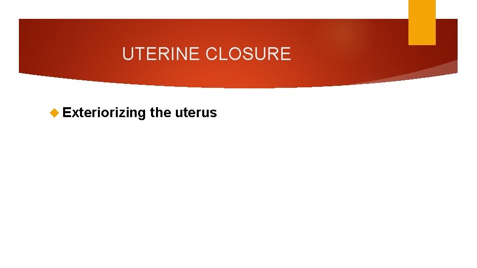 UTERINE CLOSURE Exteriorizing the uterus 