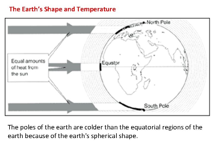 The Earth’s Shape and Temperature The poles of the earth are colder than the
