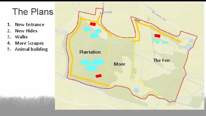 The Plans 1. 2. 3. 4. 5. New Entrance New Hides Walks More Scrapes