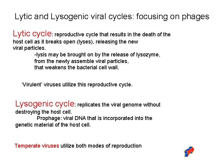 Lytic and Lysogenic viral cycles: focusing on phages Lytic cycle: reproductive cycle that results
