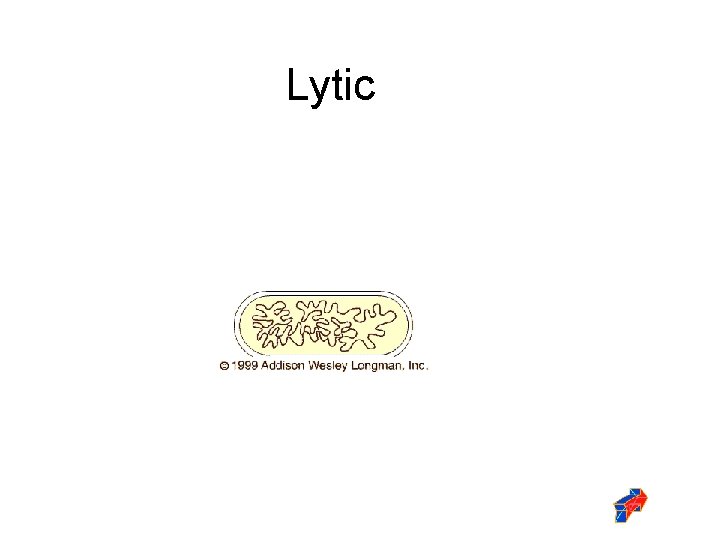 Lytic 