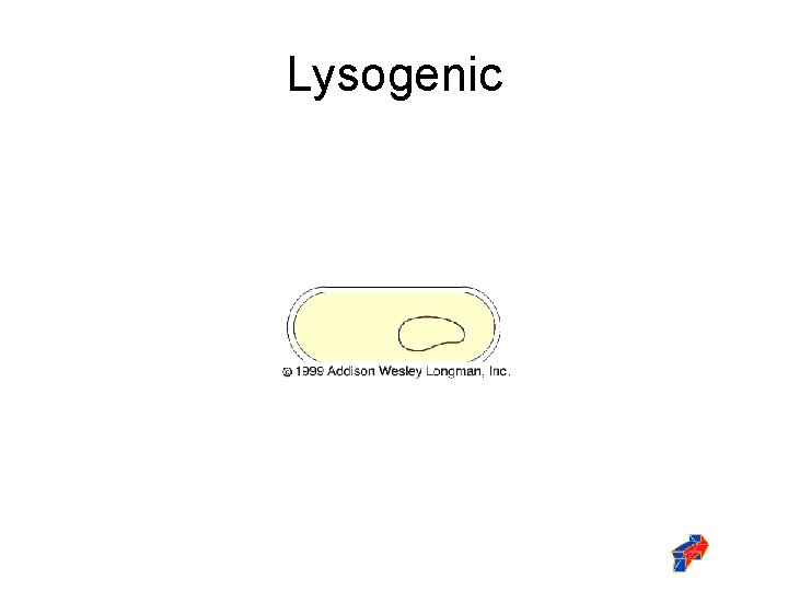 Lysogenic 