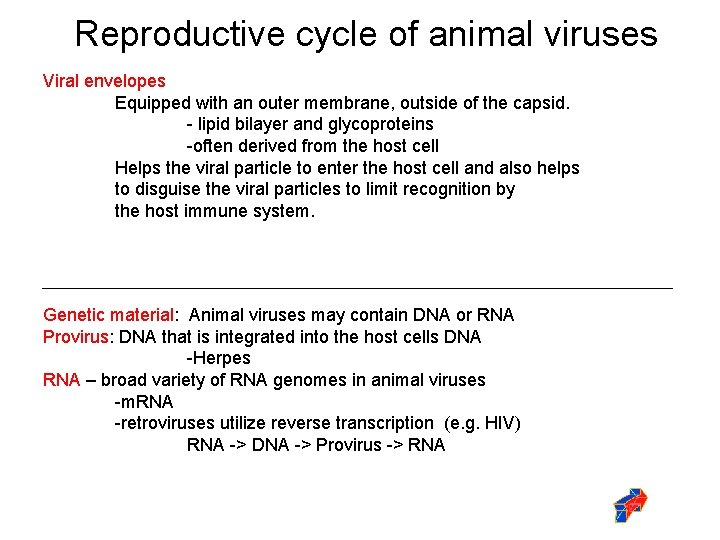 Reproductive cycle of animal viruses Viral envelopes Equipped with an outer membrane, outside of