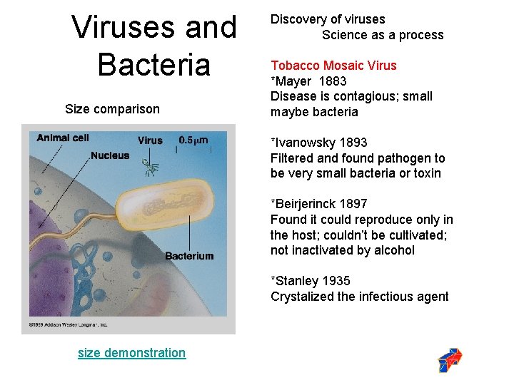 Viruses and Bacteria Size comparison Discovery of viruses Science as a process Tobacco Mosaic