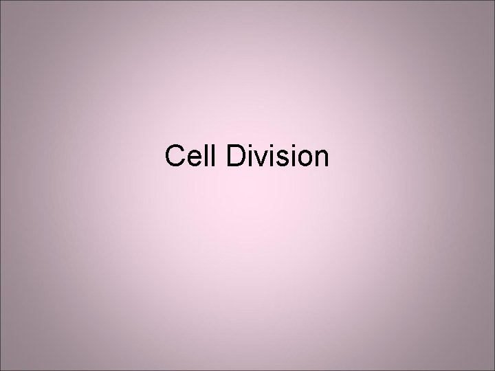 Cell Division 