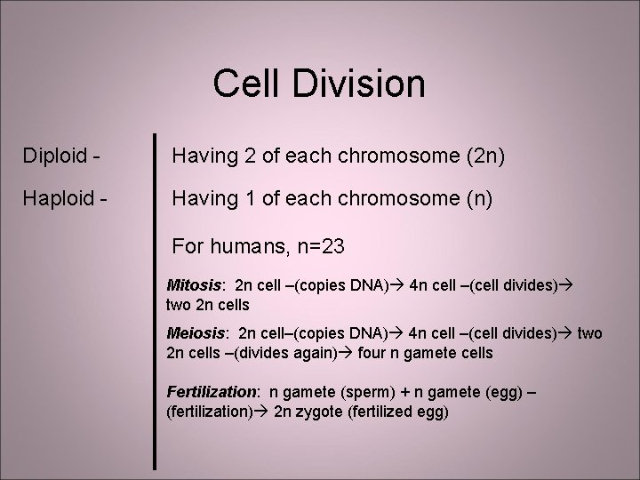 Cell Division Diploid - Having 2 of each chromosome (2 n) Haploid - Having