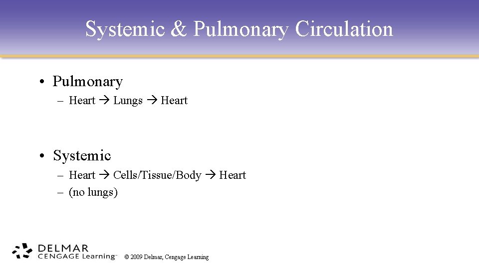 Systemic & Pulmonary Circulation • Pulmonary – Heart Lungs Heart • Systemic – Heart